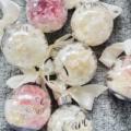 D73BA59D-EB7A-4F50-B84C-586C746618CB - BLOSSOMY