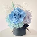 IMG_8216-2 - BLOSSOMY