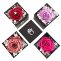 acrylic.rose - BLOSSOMY