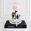 preserved pink rose dome