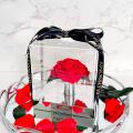 foreverred1 - BLOSSOMY