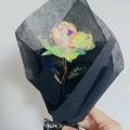 galaxy roses - BLOSSOMY