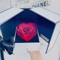 heartbox - BLOSSOMY