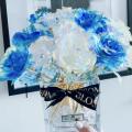 galaxy roses blue and vivid