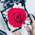 Rose Acrylic Box - BLOSSOMY
