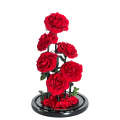 Lucky6 - BLOSSOMY
