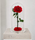 Crystal Rose dome - BLOSSOMY