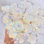 IMG_7807 - BLOSSOMY