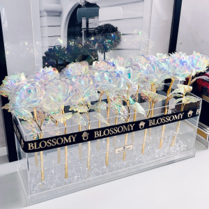 Infinity Galaxy Roses - Acrylic Box