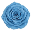 Dusty Blue