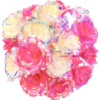 Vivid & Fuchsia
