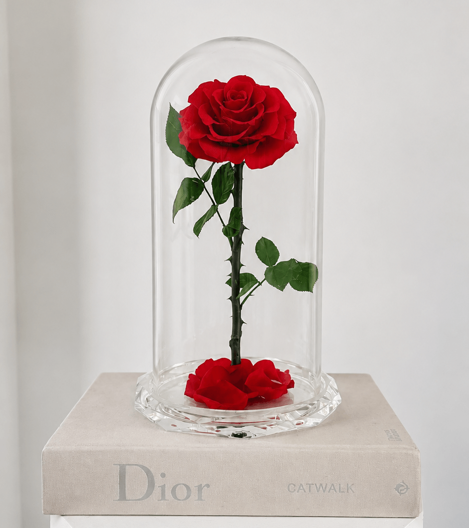 Crystal Rose dome - BLOSSOMY