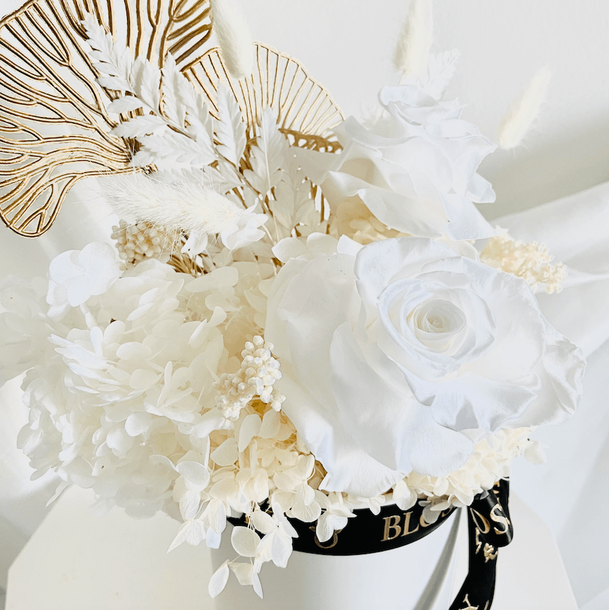 Screen Shot 2023-03-09 at 10.04.54 pm