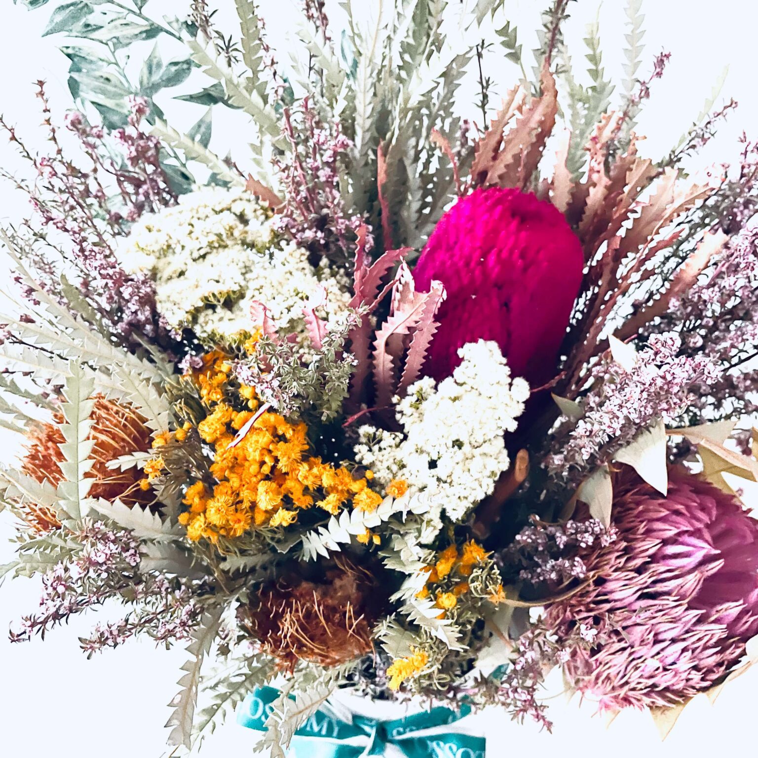 Wild Native Dried Everlasting Flowers BLOSSOMY